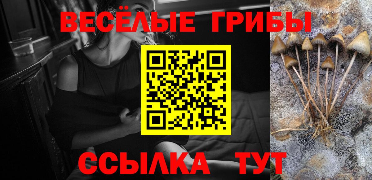 Петровск  Галлюциногенные грибы мицелий  Вход с VPN  Галлюциногенные грибы ЛСД 